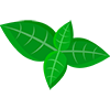 plant icon