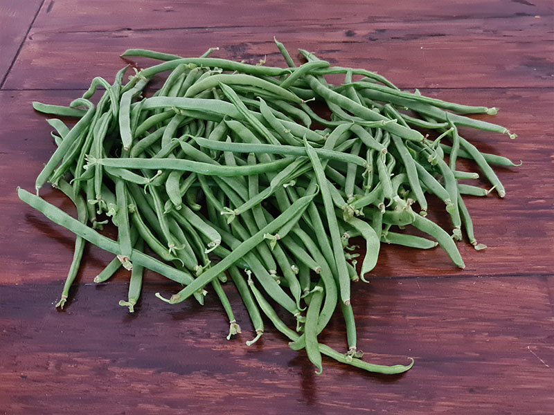 slaboon oogsten plukken keukenplanten