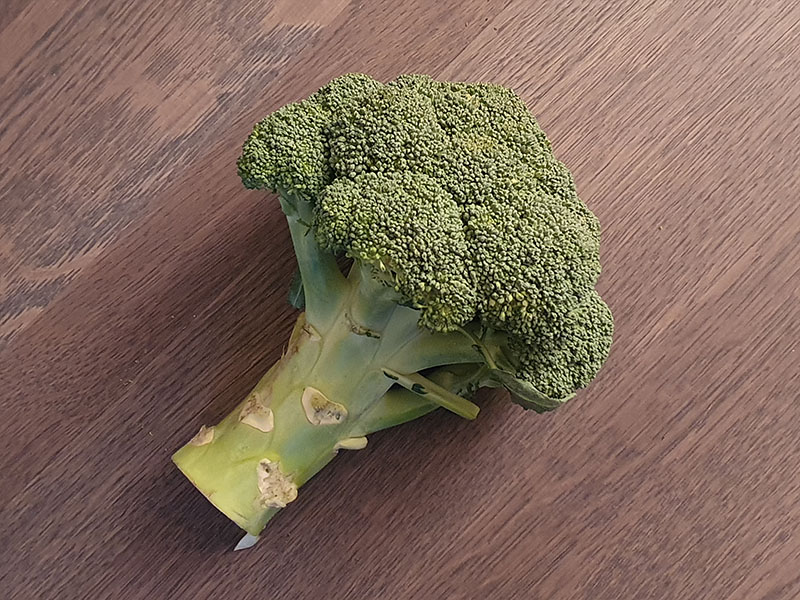 broccoli oogsten plukken keukenplanten