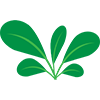 plant icon