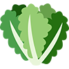 plant icon