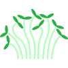 plant icon