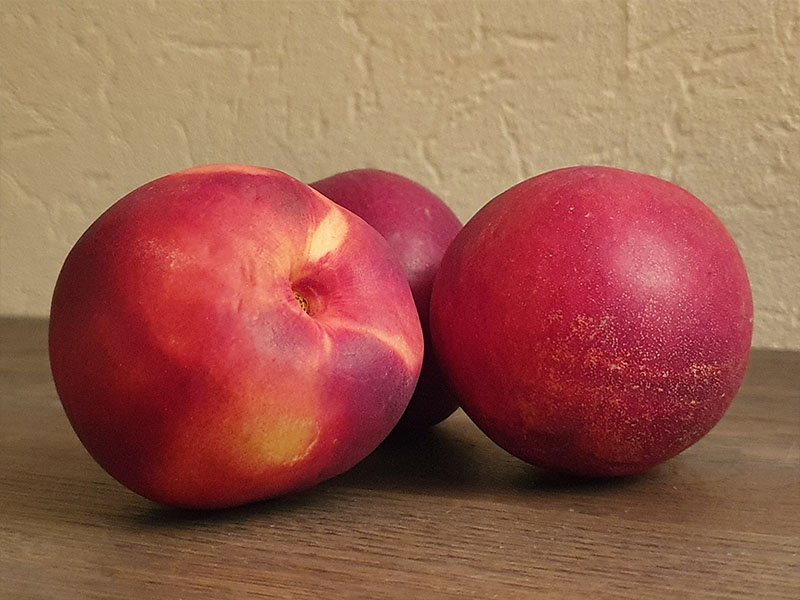 nectarines