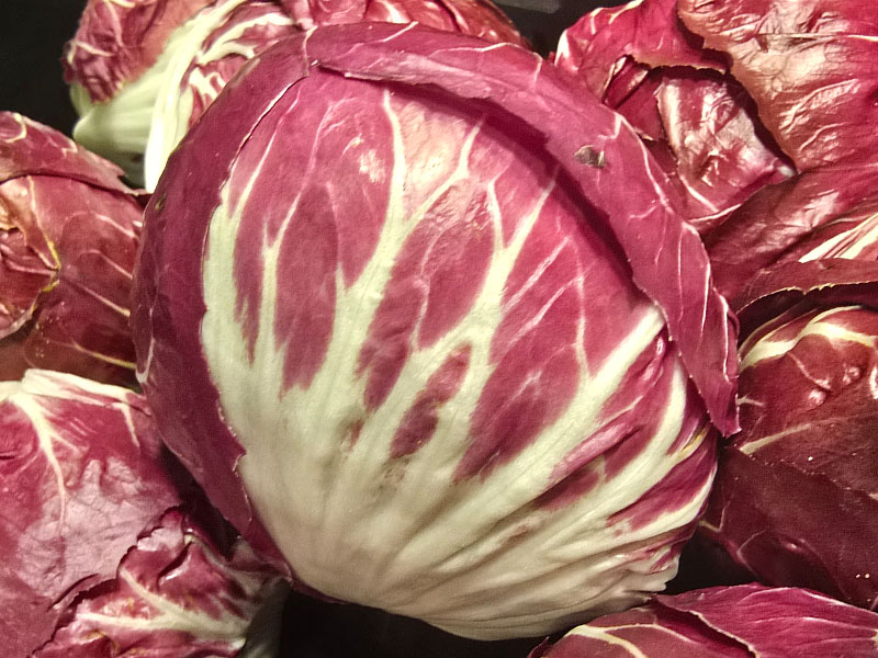 roodlof oogsten plukken keukenplanten