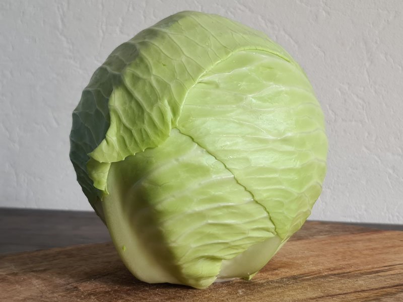 witte kool oogsten plukken keukenplanten