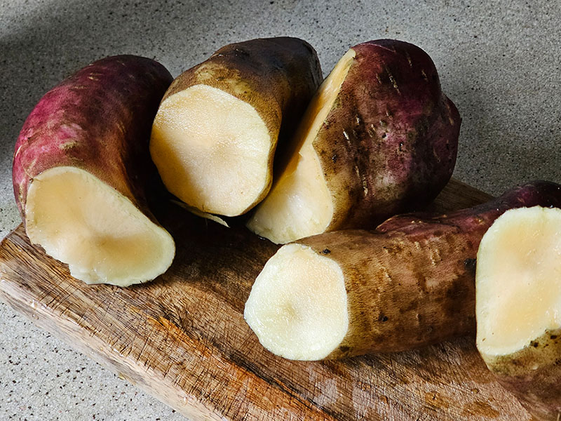 yacon gebruik appelwortel gebruiken in de keuken hoe bereiden appelwortel yakon