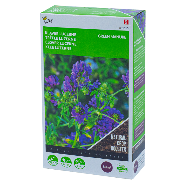 Lucerneklaver Luzerne Medicago sativa Buzzy Seeds Groenbemester