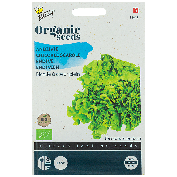 Andijvie Gele Volhart BIO Buzzy Organic Seeds