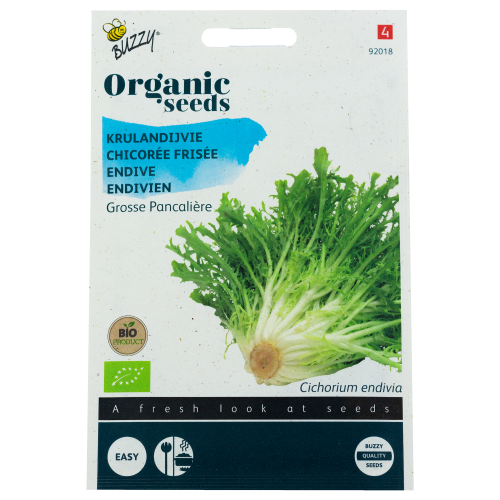 Andijvie Grosse Pancalière Krulandijvie BIO Buzzy Organic Seeds