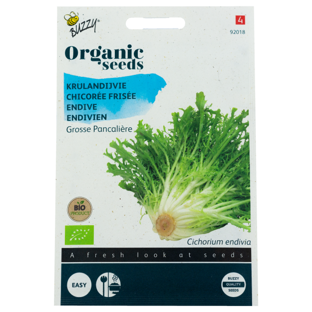 Andijvie Grosse Pancalière BIO zaden