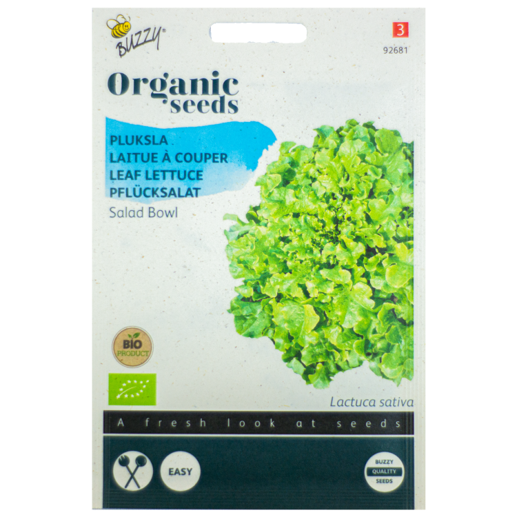 Pluksla Salad Bowl BIO Buzzy Organic Seeds