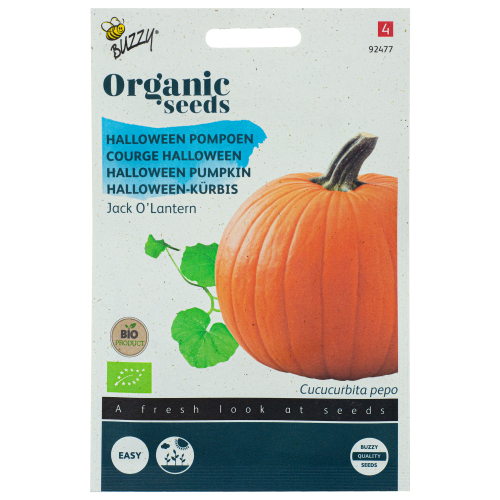 Pompoen Jack O'Lantern BIO zaden