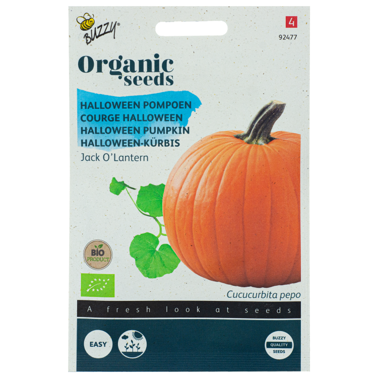 Pompoen Jack O'Lantern Halloween BIO Buzzy Organic Seeds