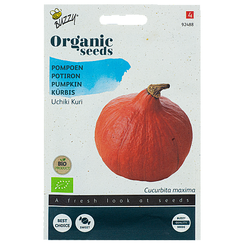 Pompoen Uchiki Kuri BIO Buzzy Organic Seeds