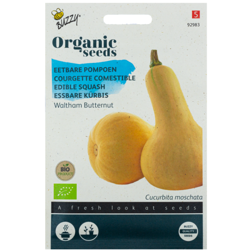 Pompoen Waltham Butternut BIO zaden