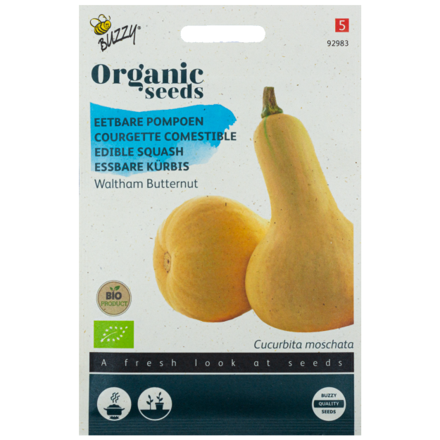 Pompoen Waltham Butternut Squash BIO Buzzy Organic Seeds