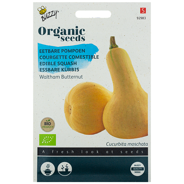 Pompoen Waltham Butternut Squash BIO Buzzy Organic Seeds