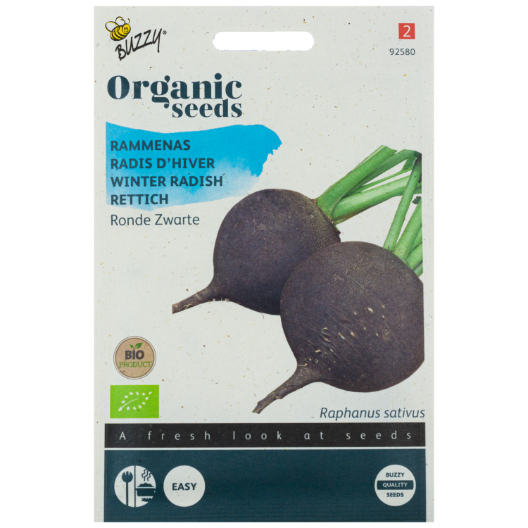 Rammenas Ronde Zwarte Rettich BIO Buzzy Organic Seeds