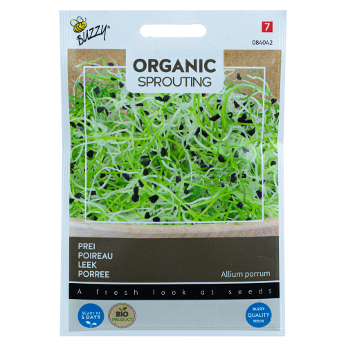Prei Allium porrum Buzzy Organic Sprouting BIO