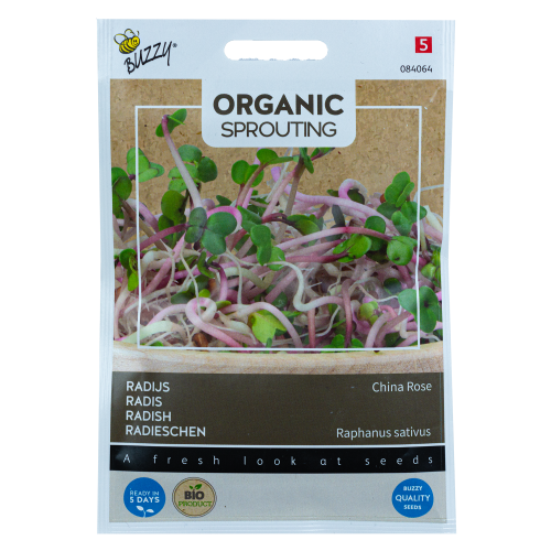 Radijs China Rose Buzzy Organic Sprouting BIO