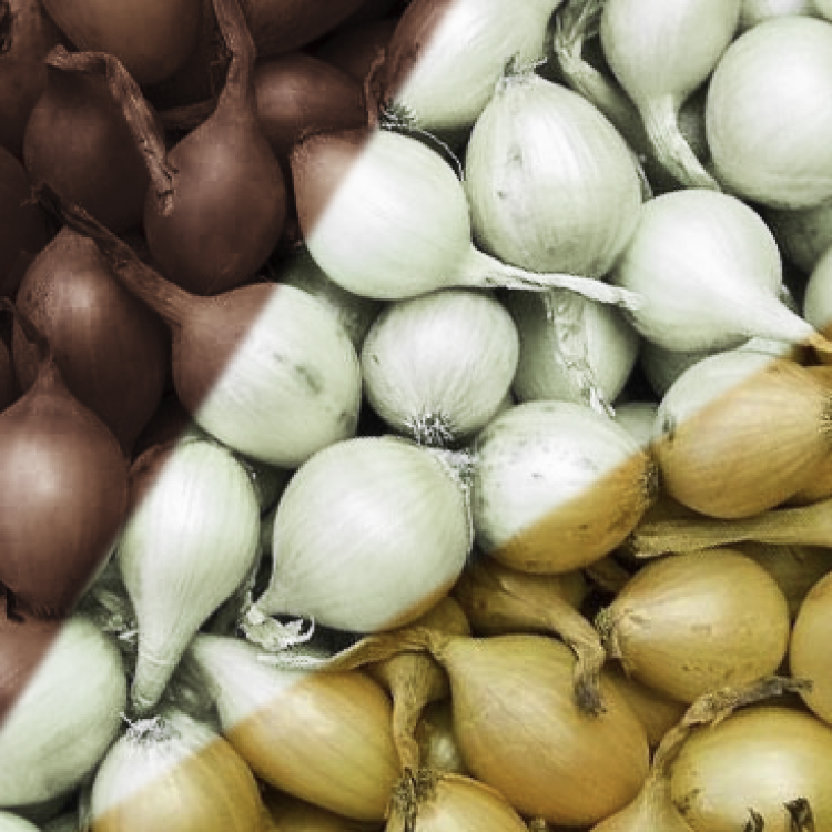 Plantui Gemengd 250g