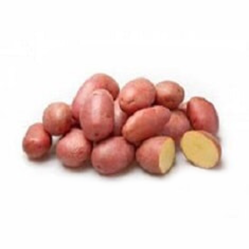 Aardappel Bildtstar 1KG