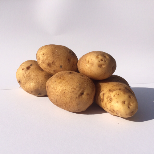 Aardappel Carolus BIO 1KG
