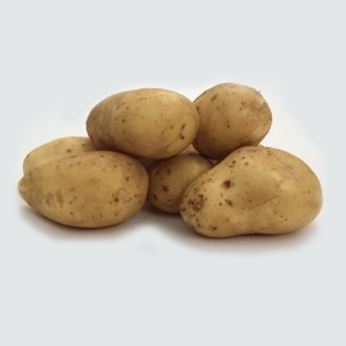 Aardappel Lekkerlander 1KG