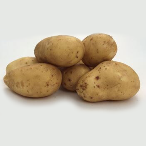 Aardappel Sevilla BIO 1KG