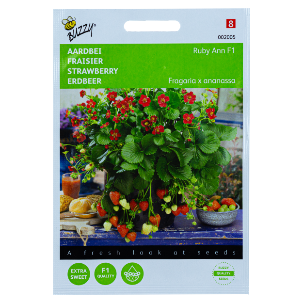 Aardbei Hangaardbei Ruby Ann F1 zaden