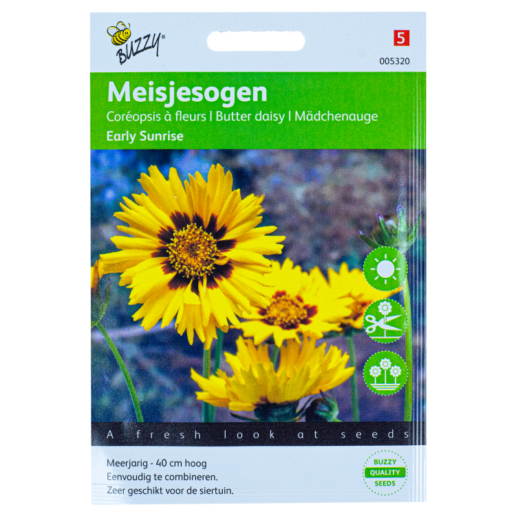 Meisjesogen Early Sunrise zaden