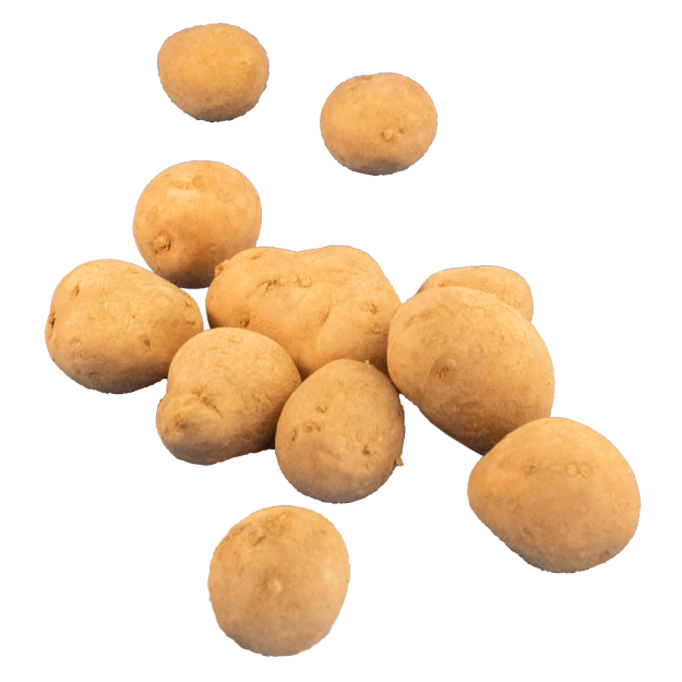 Pootaardappel Carolus BIO 1KG