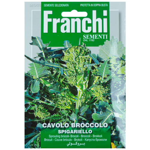 Broccolo Spigariello Franchi Sementi