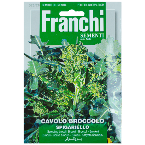 Broccolo Spigariello zaden