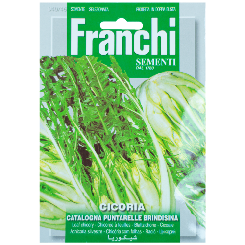 Cichorei Catalogna Puntarelle Brindisina Franchi Sementi