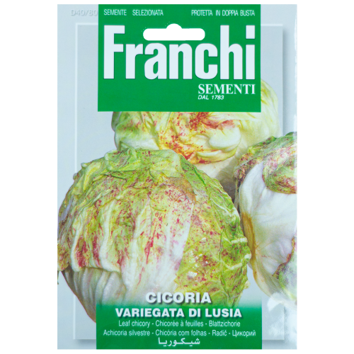 Cichorei Variegata di Lusia Franchi Sementi