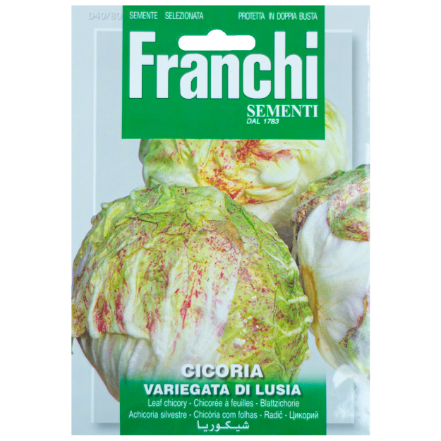 Cichorei Variegata di Lusia Franchi Sementi