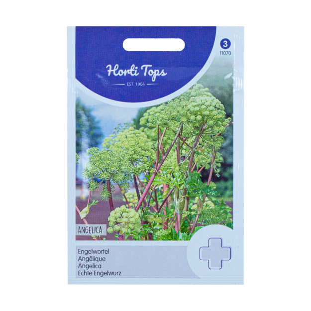 Engelwortel Angelica Horti Tops