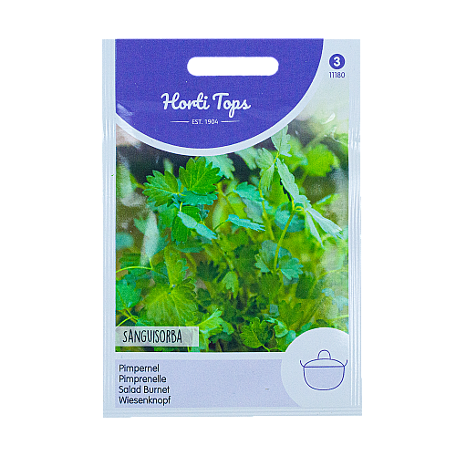 Pimpernel Sanguisorba Kleine Horti Tops