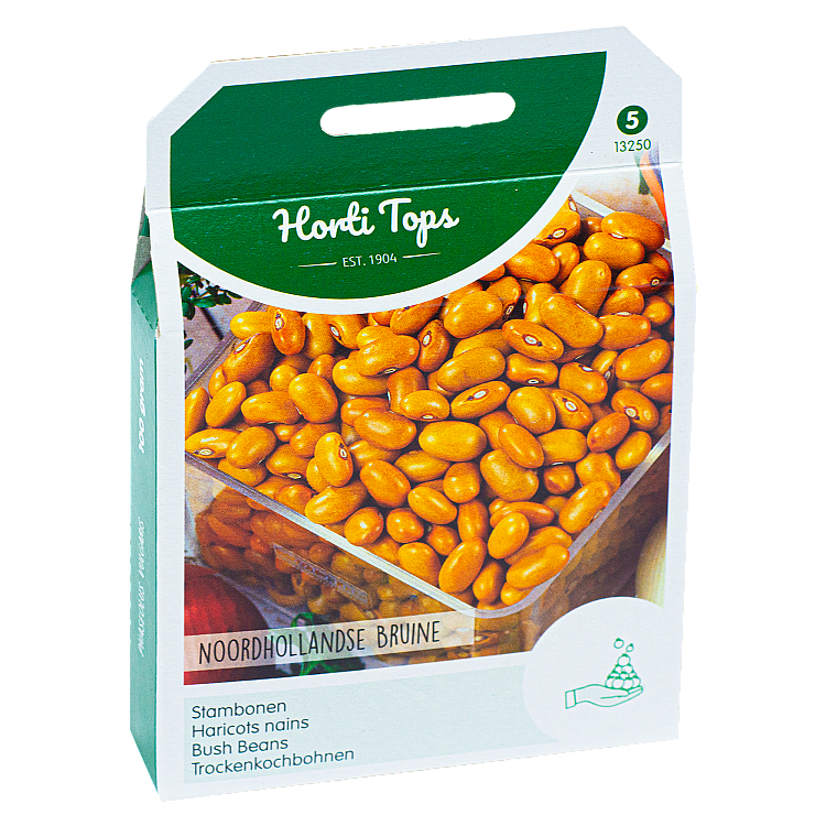 Stamboon Noordhollandse Bruine Bonen doosje 100g Horti Tops