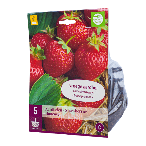 5x Aardbeienplantje Honeoye Vroegdragend