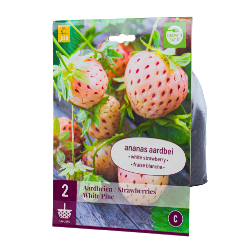 2x Aardbeienplantje White Pine Vroegdragend