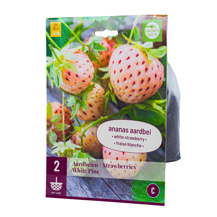 2x Aardbeienplantje White Pine Vroegdragend
