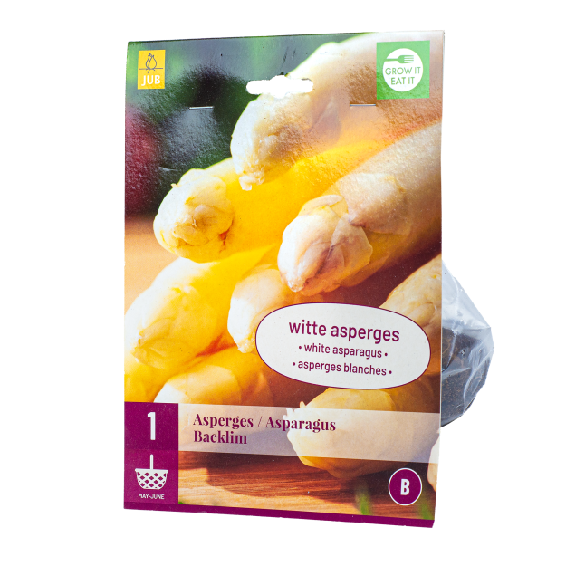 Asperge Backlim Witte