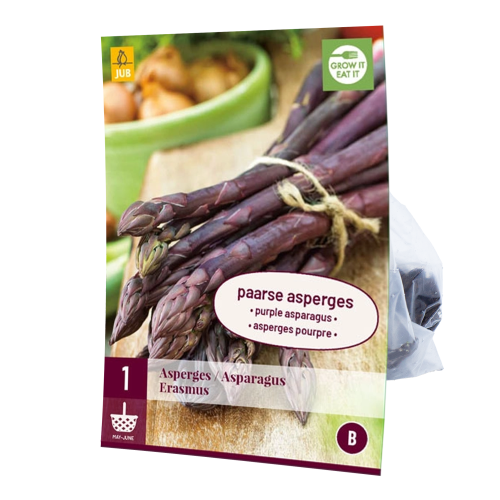 Asperge Erasmus Paarse