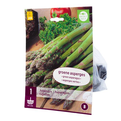 Wortelstok Asperge Gijnlim Groene JUB