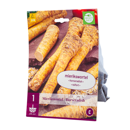 Mierikswortel Armoracia Rusticana