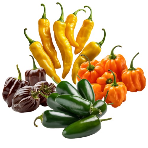 02 Peperliefhebbers Moestuin Zaden Pakket 02 Peperliefhebbers Moestuin Zaden Pakket