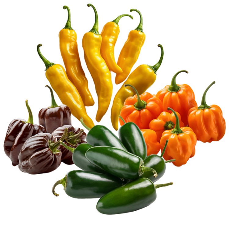 02 Peperliefhebbers Moestuin Zaden Pakket