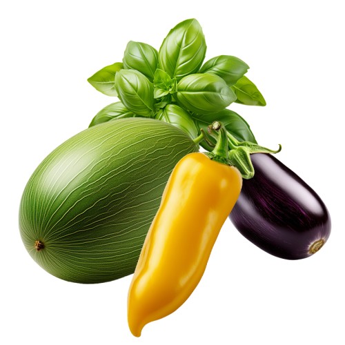 07 Kweekkas Moestuin Zaden Pakket 07 Kweekkas Moestuin Zaden Pakket